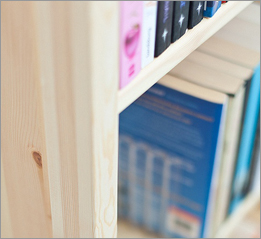 Shelf Detail 2