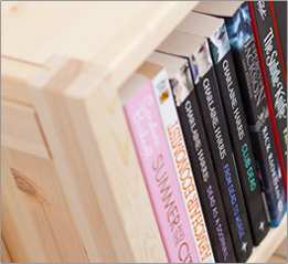 Shelf Detail 3